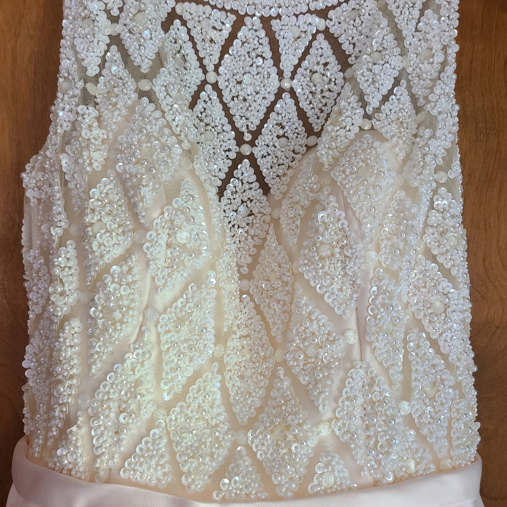 Judy & Julia Champagne Ball Gown - size 6 NWT - Picture 3 of 11